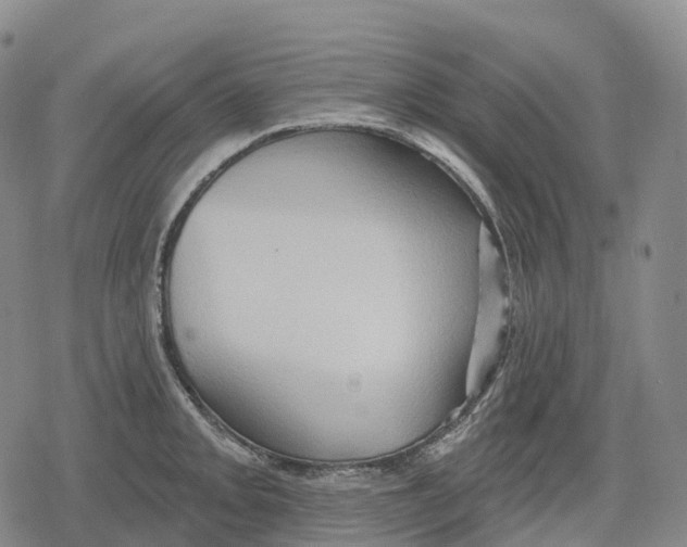 X0000079581093200612221424