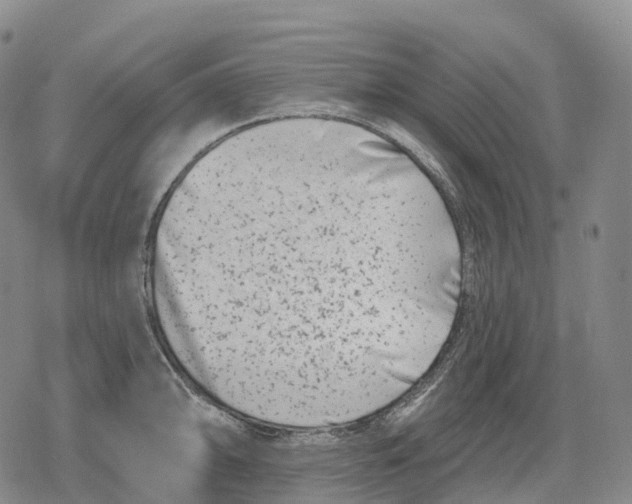 X0000079581094200612221424