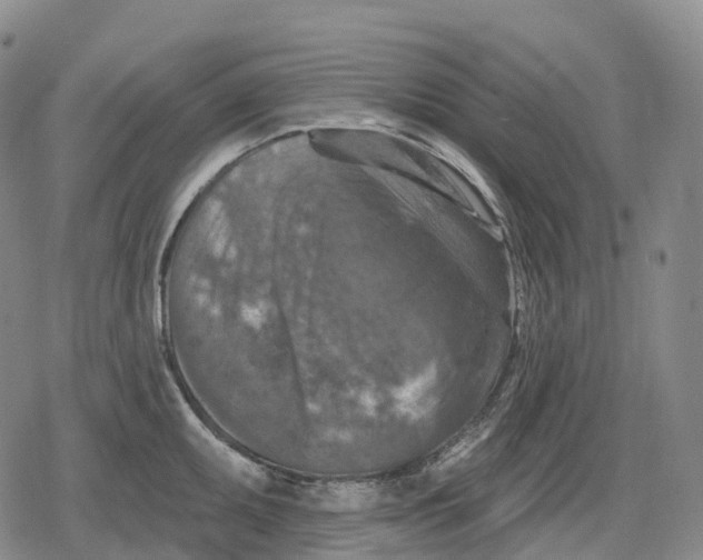 X0000079581095200612221424