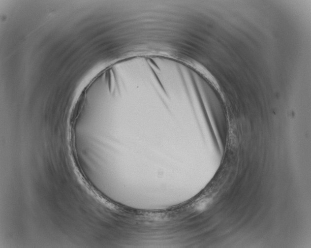 X0000079581096200612221424