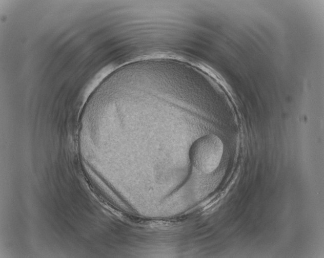 X0000079581097200612221424