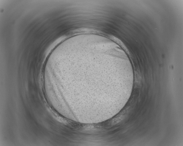 X0000079581098200612221424