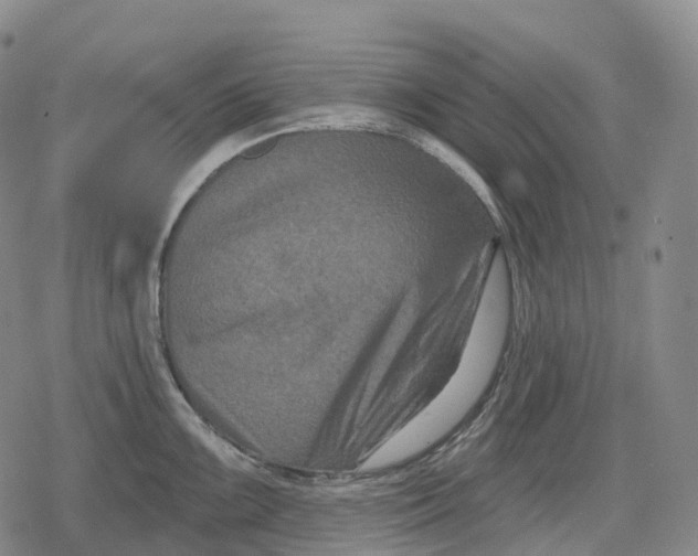 X0000079581099200612221424