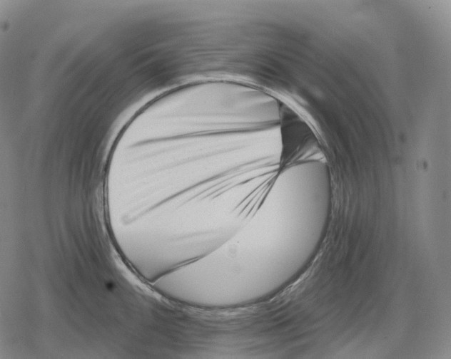 X0000079581100200612221424