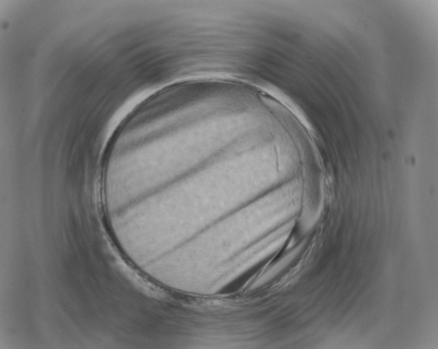 X0000079581101200612221424