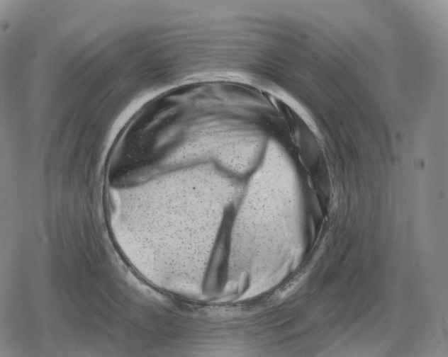 X0000079581102200612221424