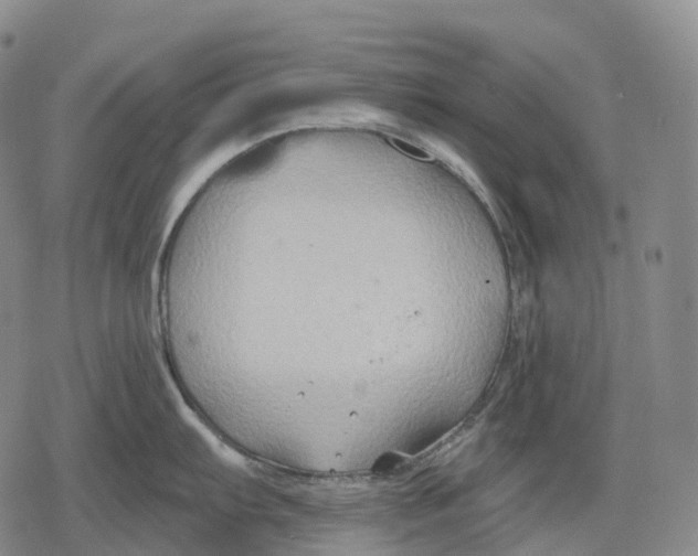 X0000079581103200612221424