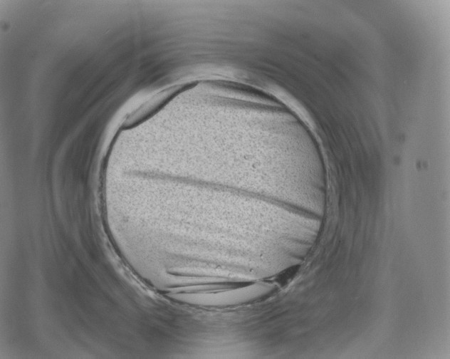 X0000079581104200612221424