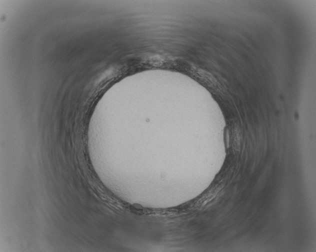 X0000079581105200612221423