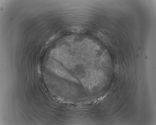 X0000079581106200612221423