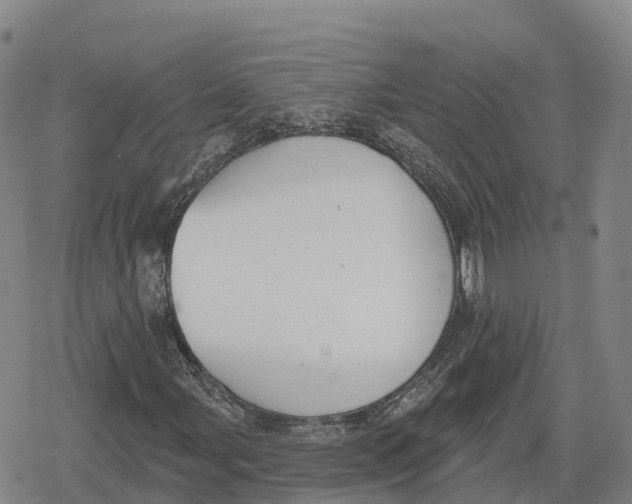 X0000079581107200612221423