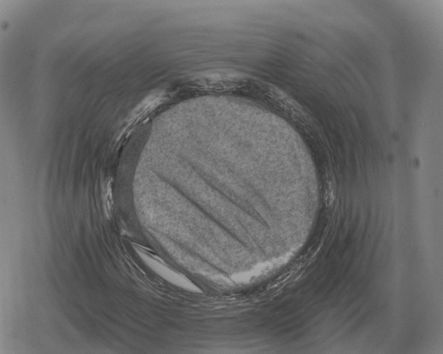 X0000079581108200612221423