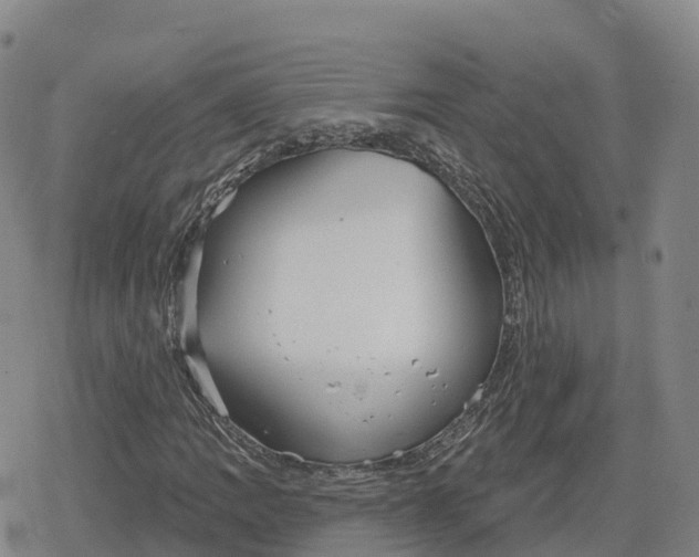 X0000079581109200612221423