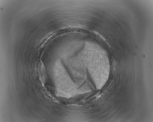 X0000079581110200612221423