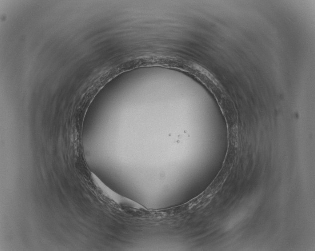 X0000079581111200612221423