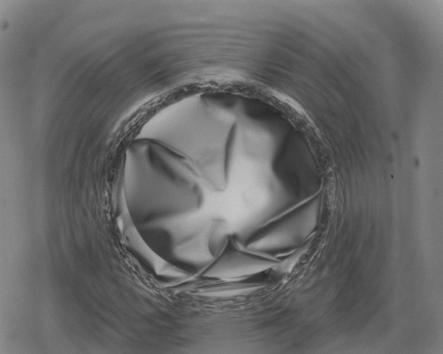 X0000079581112200612221423