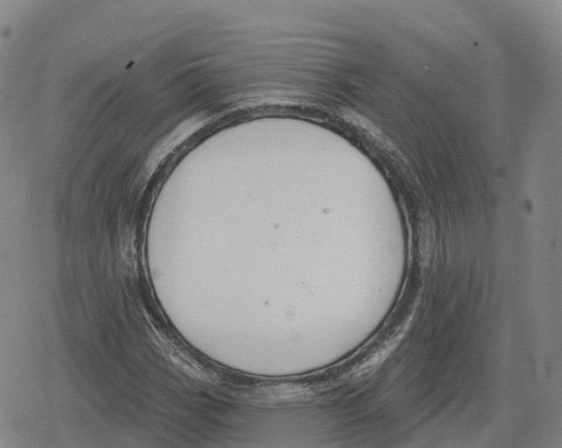 X0000079581113200612221423