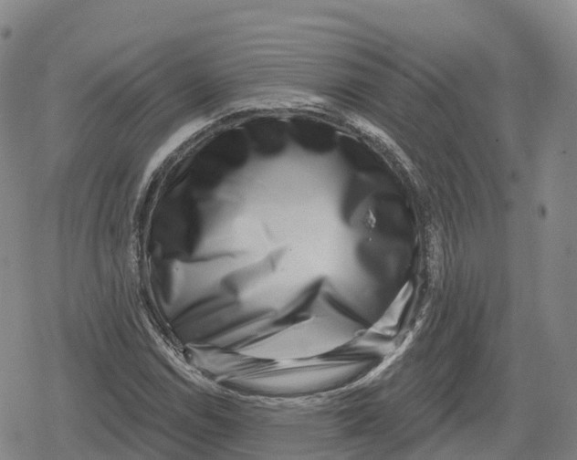 X0000079581114200612221423