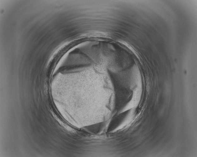 X0000079581115200612221424