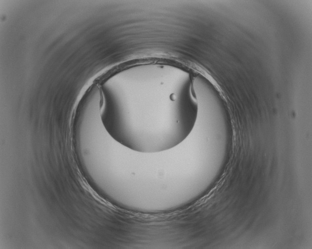 X0000079581116200612221424