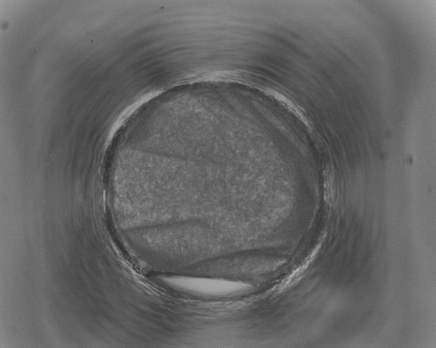 X0000079581117200612221424