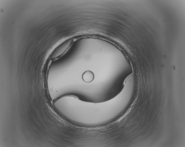 X0000079581118200612221424