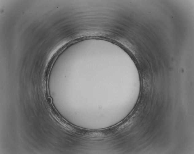 X0000079581119200612221424