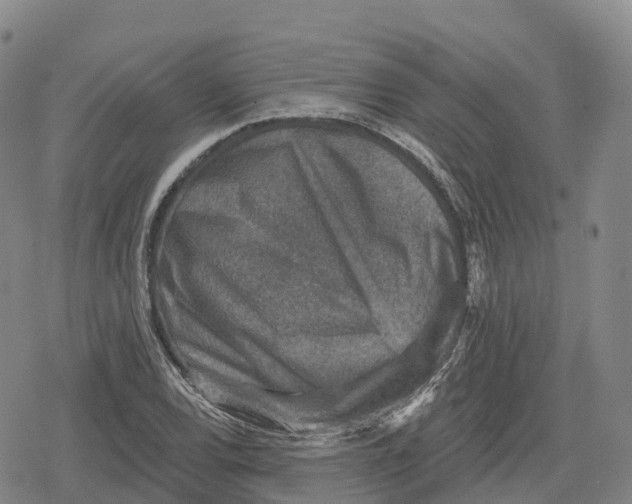 X0000079581120200612221424