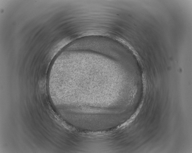 X0000079581121200612221424