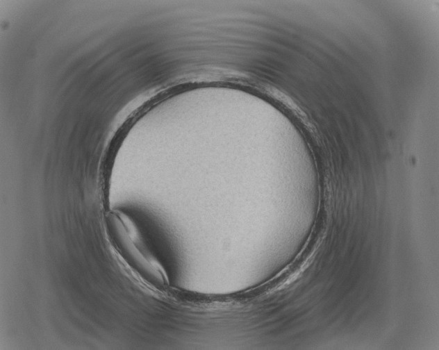 X0000079581122200612221424