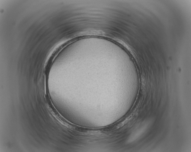 X0000079581123200612221424