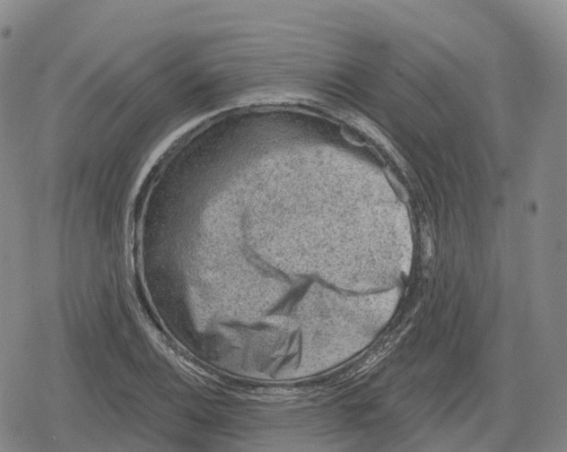 X0000079581124200612221424