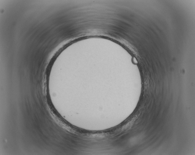 X0000079581126200612221424