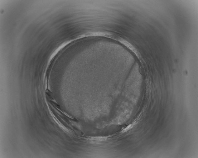 X0000079581127200612221424