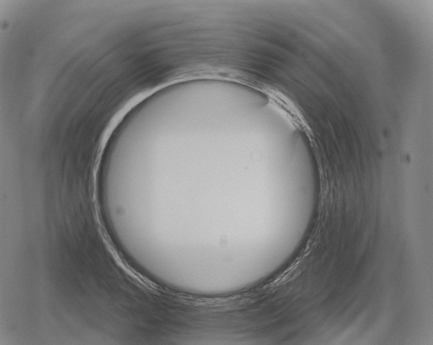 X0000079581128200612221424