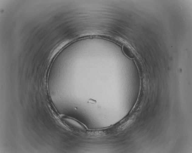 X0000079581129200612221424