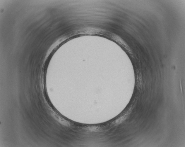 X0000079581130200612221424