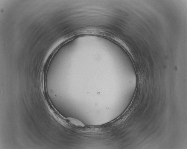 X0000079581131200612221424