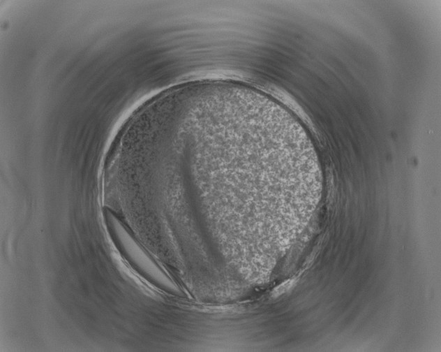 X0000079581132200612221424