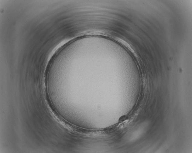 X0000079581133200612221424