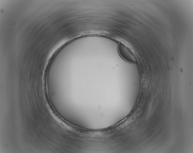 X0000079581135200612221424