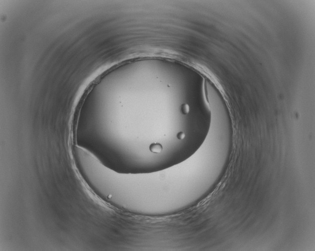 X0000079581136200612221424