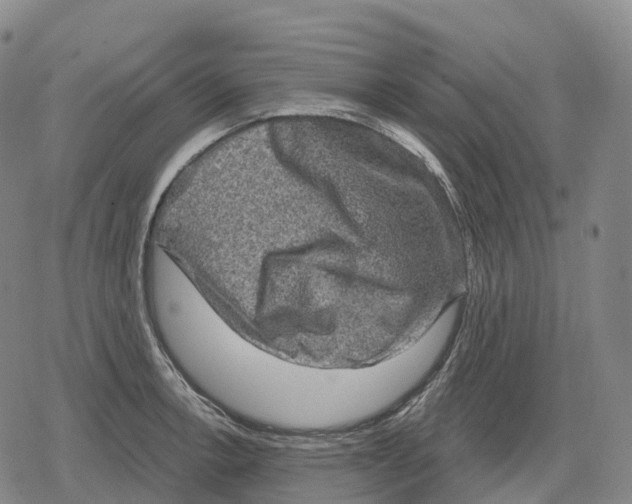 X0000079581138200612221424