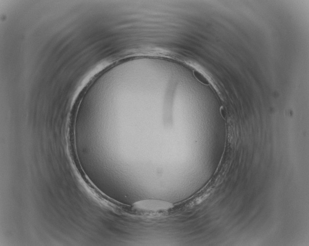 X0000079581139200612221424