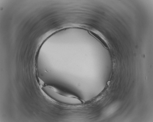 X0000079581143200612221424