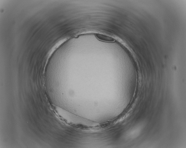 X0000079581145200612221424