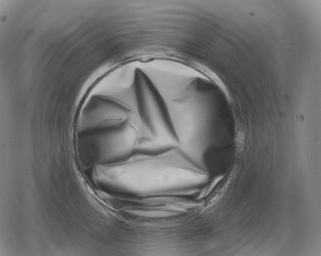 X0000079581146200612221424