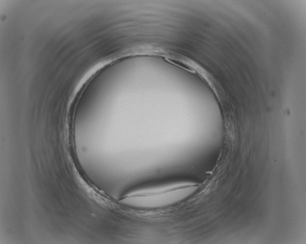 X0000079581147200612221424