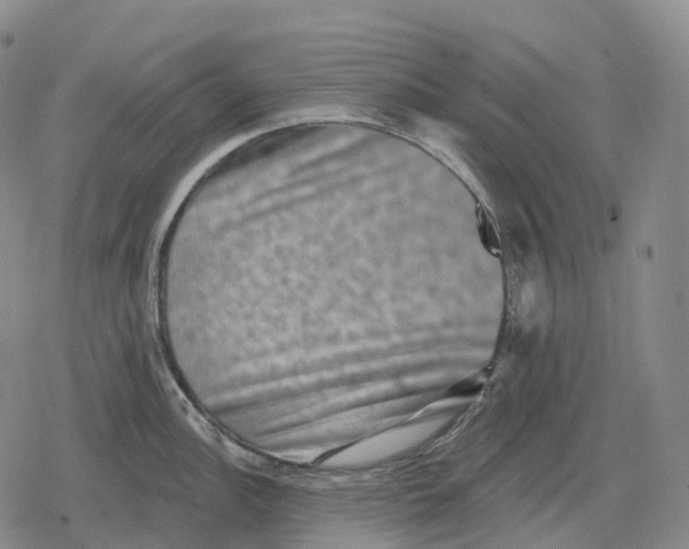 X0000079581148200612221424