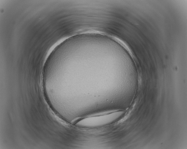 X0000079581149200612221424